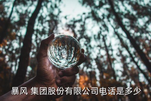 暴風集團最新消息,暴風科技股票最新消息