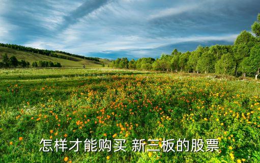 怎樣才能購(gòu)買(mǎi) 新三板的股票