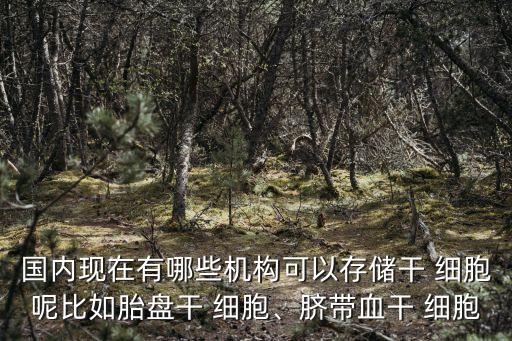 國(guó)內(nèi)現(xiàn)在有哪些機(jī)構(gòu)可以存儲(chǔ)干 細(xì)胞呢比如胎盤干 細(xì)胞、臍帶血干 細(xì)胞