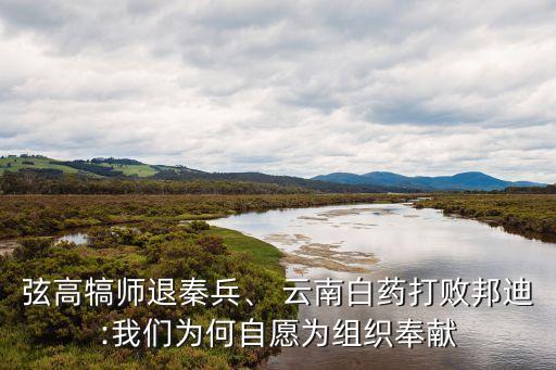 弦高犒師退秦兵、 云南白藥打敗邦迪:我們?yōu)楹巫栽笧榻M織奉獻