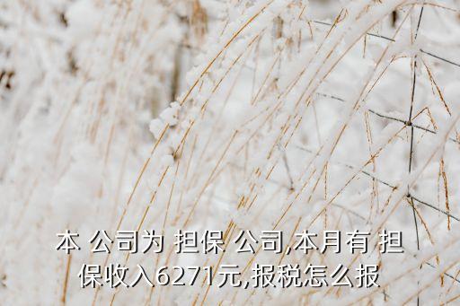 本 公司為 擔保 公司,本月有 擔保收入6271元,報稅怎么報