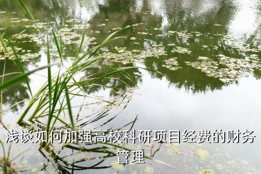 淺談如何加強(qiáng)高校科研項(xiàng)目經(jīng)費(fèi)的財(cái)務(wù)管理