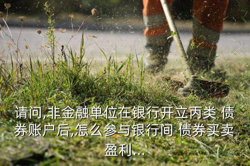 請(qǐng)問(wèn),非金融單位在銀行開(kāi)立丙類(lèi) 債券賬戶后,怎么參與銀行間 債券買(mǎi)賣(mài)盈利...
