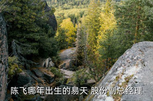 陳飛哪年出生的易天 股份副總經理