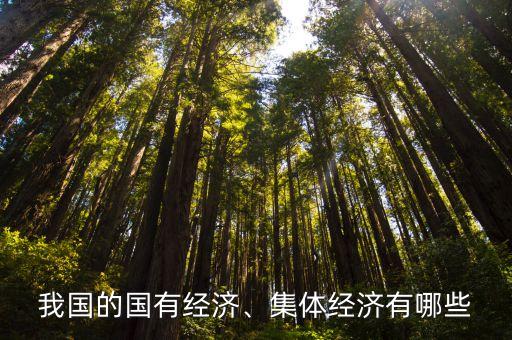 我國(guó)的國(guó)有經(jīng)濟(jì)、集體經(jīng)濟(jì)有哪些