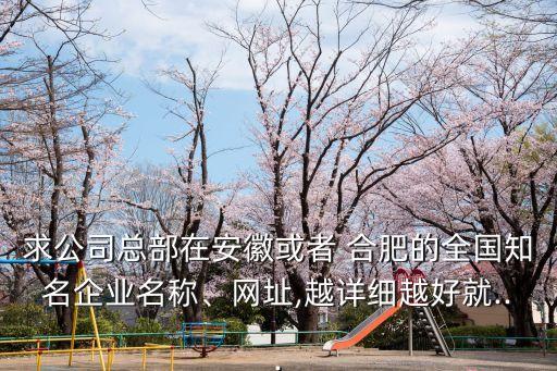 求公司總部在安徽或者 合肥的全國(guó)知名企業(yè)名稱、網(wǎng)址,越詳細(xì)越好就...