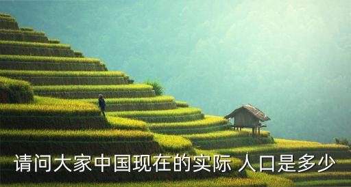 請問大家中國現(xiàn)在的實(shí)際 人口是多少