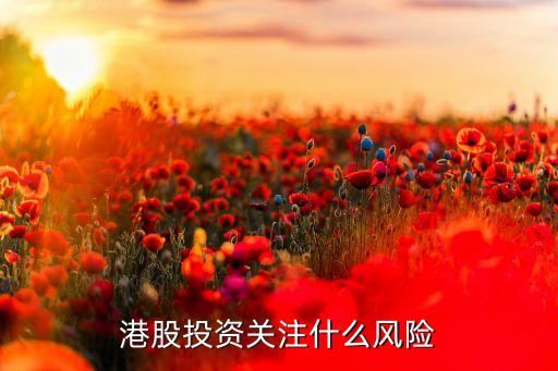 港股投資關注什么風險