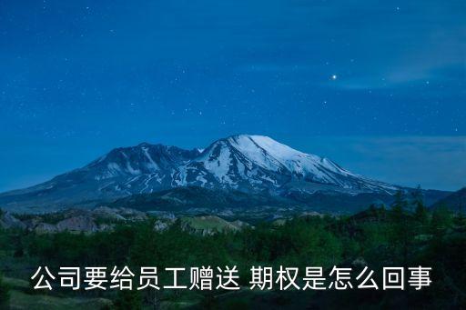 經(jīng)理人股票期權(quán),股票期權(quán)是賦予經(jīng)理人按一個固定的價(jià)格