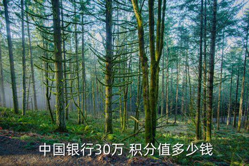  中國(guó)銀行30萬 積分值多少錢