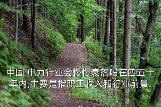 中國(guó) 電力行業(yè)會(huì)慢慢衰落嗎在四五十年內(nèi),主要是指職工收入和行業(yè)前景...