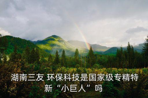  湖南三友 環(huán)?？萍际菄?guó)家級(jí)專(zhuān)精特新“小巨人”嗎