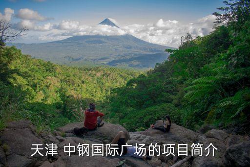 天津 中鋼國際廣場(chǎng)的項(xiàng)目簡(jiǎn)介