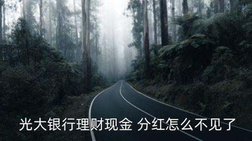  光大銀行理財(cái)現(xiàn)金 分紅怎么不見(jiàn)了