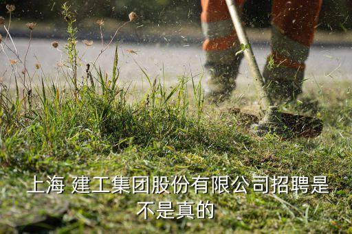  上海 建工集團股份有限公司招聘是不是真的