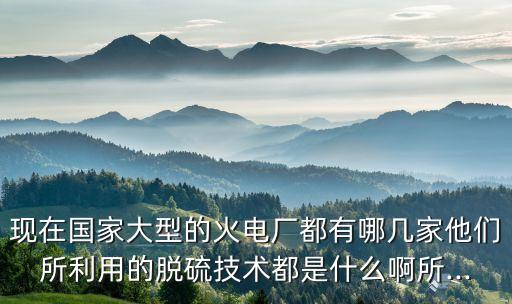 現在國家大型的火電廠都有哪幾家他們所利用的脫硫技術都是什么啊所...