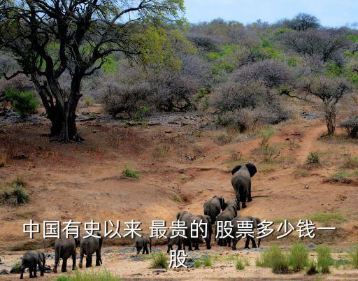 中國(guó)有史以來(lái) 最貴的 股票多少錢(qián)一股