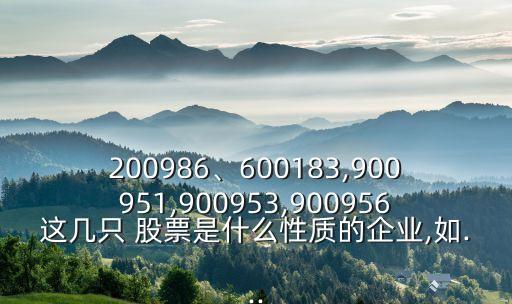 200986、600183,900951,900953,900956這幾只 股票是什么性質(zhì)的企業(yè),如...