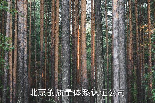 華信技術檢驗有限公司總經理,華信咨詢設計研究院有限公司總經理