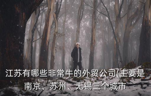 江蘇有哪些非常牛的外貿(mào)公司(主要是南京、蘇州、無錫三個城市