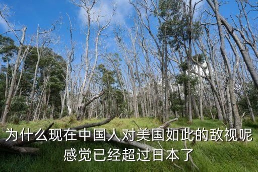 為什么現(xiàn)在中國人對(duì)美國如此的敵視呢感覺已經(jīng)超過日本了