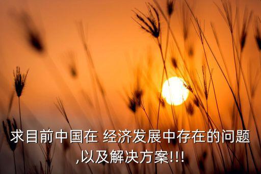 求目前中國(guó)在 經(jīng)濟(jì)發(fā)展中存在的問(wèn)題,以及解決方案!!!