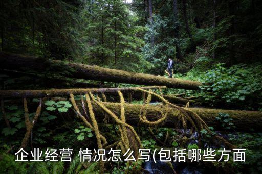 企業(yè)經營 情況怎么寫(包括哪些方面