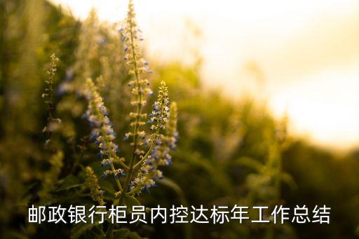 郵政銀行柜員內控達標年工作總結