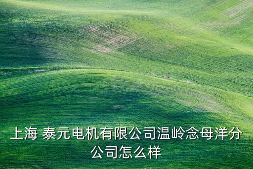 上海 泰元電機(jī)有限公司溫嶺念母洋分公司怎么樣