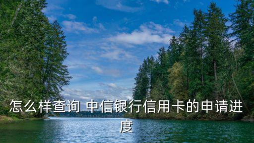怎么樣查詢 中信銀行信用卡的申請進度
