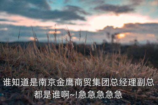 誰知道是南京金鷹商貿集團總經(jīng)理副總都是誰啊~!急急急急急