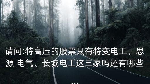 請(qǐng)問(wèn):特高壓的股票只有特變電工、思源 電氣、長(zhǎng)城電工這三家嗎還有哪些...