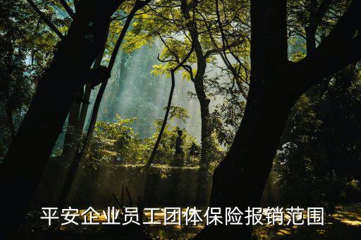  平安企業(yè)員工團(tuán)體保險報銷范圍