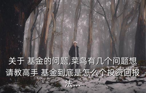 關(guān)于 基金的問題,菜鳥有幾個(gè)問題想請教高手 基金到底是怎么個(gè)投資回報(bào)法...