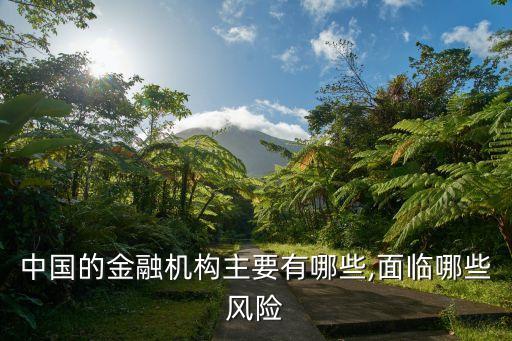 中國的金融機構主要有哪些,面臨哪些風險