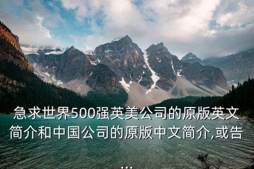 急求世界500強英美公司的原版英文簡介和中國公司的原版中文簡介,或告...