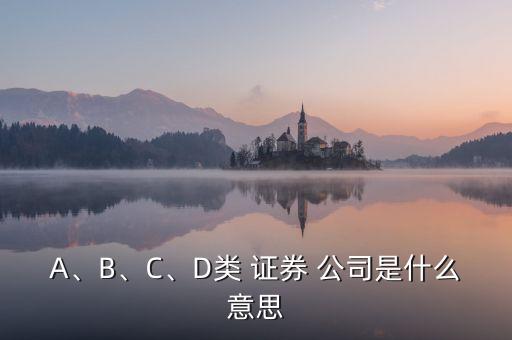 A、B、C、D類 證券 公司是什么意思