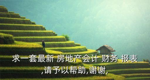 求一套最新 房地產(chǎn)會(huì)計(jì) 財(cái)務(wù) 報(bào)表,請予以幫助,謝謝,
