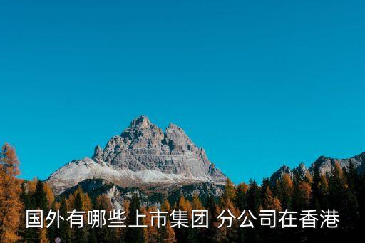 國外有哪些上市集團 分公司在香港