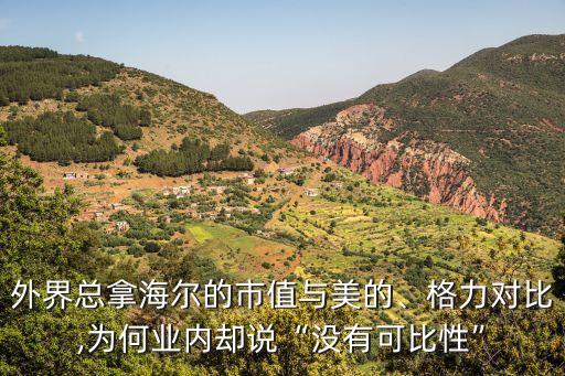 外界總拿海爾的市值與美的、格力對比,為何業(yè)內(nèi)卻說“沒有可比性”