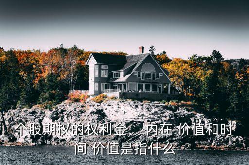 個(gè)股期權(quán)的權(quán)利金、 內(nèi)在 價(jià)值和時(shí)間 價(jià)值是指什么