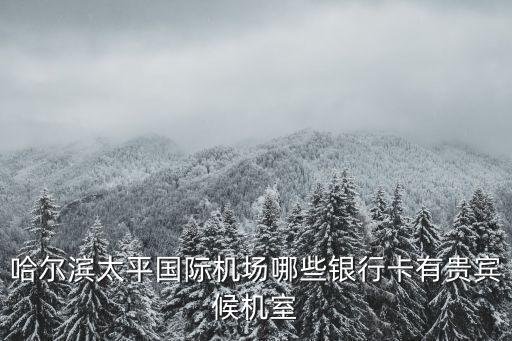 哈爾濱太平國際機場哪些銀行卡有貴賓候機室
