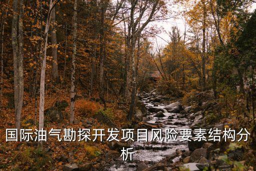 國際油氣勘探開發(fā)項(xiàng)目風(fēng)險(xiǎn)要素結(jié)構(gòu)分析