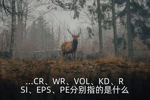 ...CR、WR、VOL、KD、RSI、EPS、PE分別指的是什么