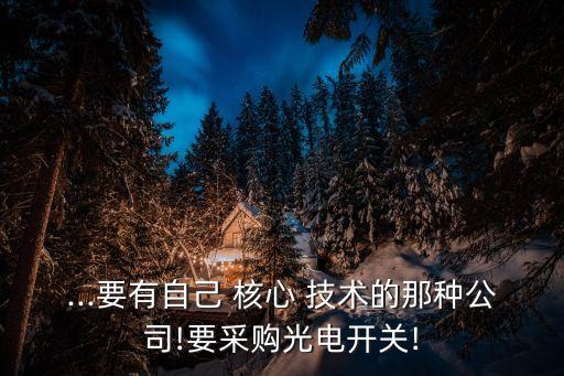 ...要有自己 核心 技術(shù)的那種公司!要采購(gòu)光電開關(guān)!