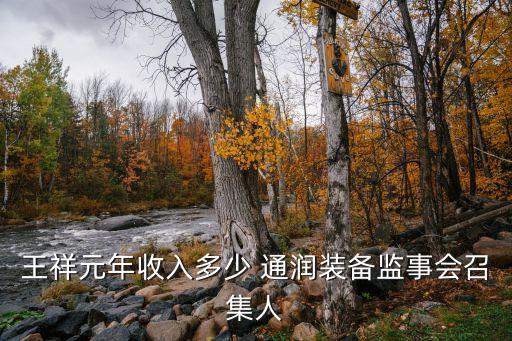 王祥元年收入多少 通潤裝備監(jiān)事會(huì)召集人