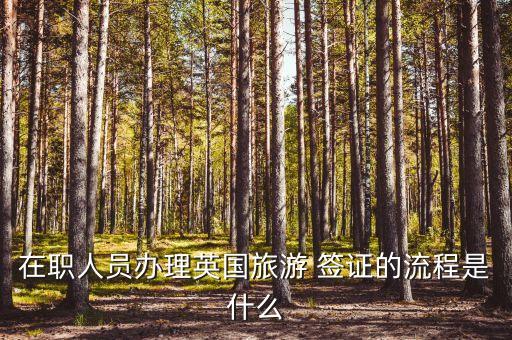 在職人員辦理英國(guó)旅游 簽證的流程是什么