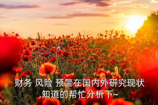  財(cái)務(wù) 風(fēng)險(xiǎn) 預(yù)警在國內(nèi)外研究現(xiàn)狀,知道的幫忙分析下~