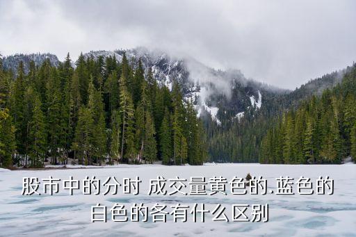 股市中的分時 成交量黃色的.藍色的白色的各有什么區(qū)別