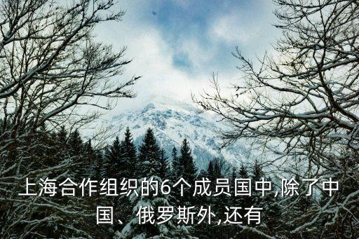 中國(guó)巴基斯坦反恐,巴基斯坦反恐電影在線(xiàn)觀(guān)看